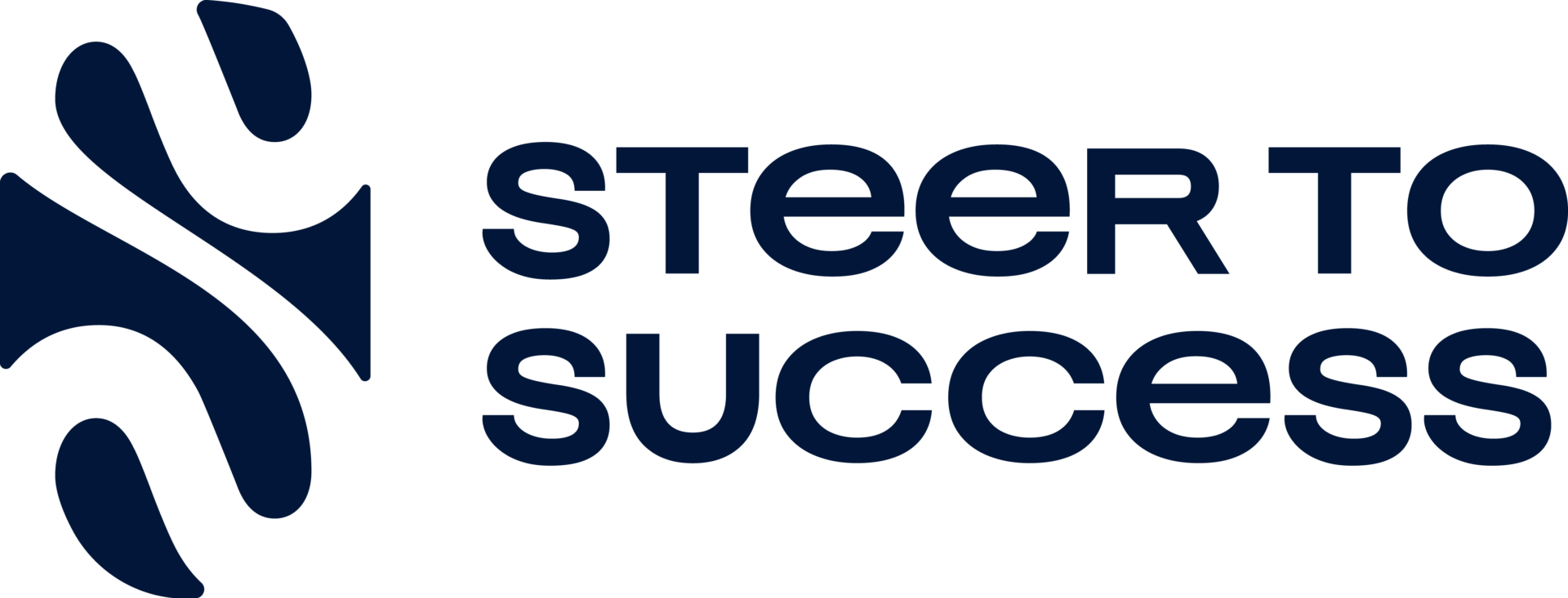 Steer to Success